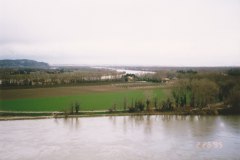 Rhône à Avignon
