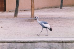 Parc Zoològic de Barcelona