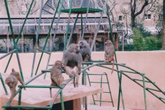 Parc Zoològic de Barcelona