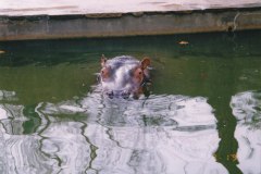 Parc Zoològic de Barcelona