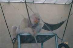 Parc Zoològic de Barcelona