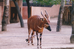 Parc Zoològic de Barcelona