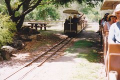 Currumbin Wildlife Sanctuary