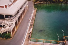 Sea World Gold Coast