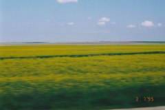 de Granada a Sevilla en autobús