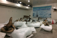 Drift Ice Museum at Cape Soya