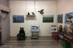 Drift Ice Museum at Cape Soya