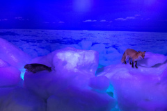 Okhotsk Ryu-hyo Museum