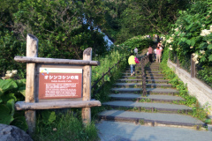 Oshinkoshin Falls at Shiretoko Utoro