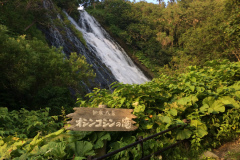 Oshinkoshin Falls at Shiretoko Utoro
