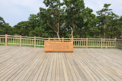 Shiretoko-goko lalkes