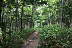Promenade of Shiretoko-goko lalkes