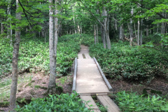 Promenade of Shiretoko-goko lalkes