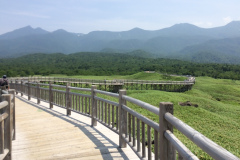Elevated wooden path of Shiretoko-goko lalkes