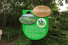 Cape Kirakotan in Kushiro Marsh