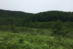Cape Kirakotan in Kushiro Marsh