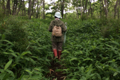 Cape Kirakotan in Kushiro Marsh