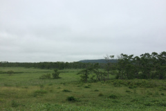Cape Kirakotan in Kushiro Marsh