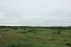 Cape Kirakotan in Kushiro Marsh