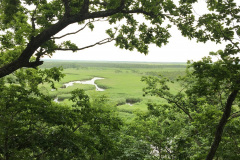 Cape Kirakotan in Kushiro Marsh