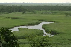 Cape Kirakotan in Kushiro Marsh