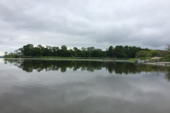 Kushiro Marsh from a canoe