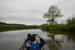 Kushiro Marsh from a canoe