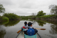 Kushiro Marsh from a canoe