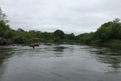 Kushiro Marsh from a canoe