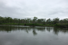 Kushiro Marsh from a canoe