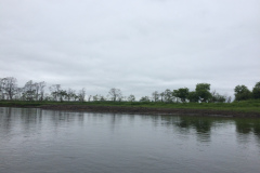 Kushiro Marsh from a canoe