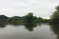 Kushiro Marsh from a canoe