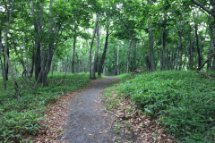 Salvo Observation Deck in Kushiro