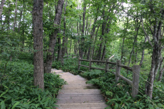 Kushiro Marsh National Park
