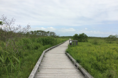 Onnenai wooden footpath in National Park