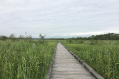 Onnenai wooden footpath in National Park