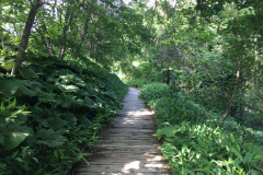 Kushiro Municipal Observation Deck