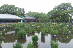 Dazaifu Tenmangu Shrine