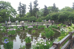 Dazaifu Tenmangu Shrine