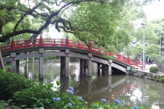 Dazaifu Tenmangu Shrine