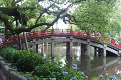 Dazaifu Tenmangu Shrine