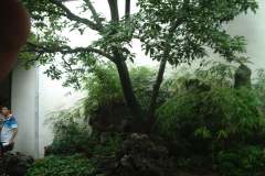 Suzhou_0058