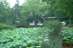 Suzhou_0088