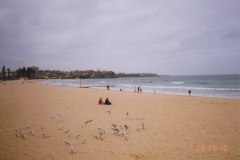 Sydney Harbor (Port Jackson)